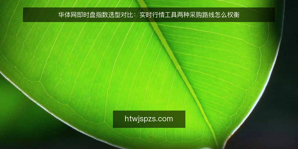 华体网即时盘指数选型对比:实时行情工具两种采购路线怎么权衡 — 先定决策标准:采购华体网即时盘指数要回答什么 配图
